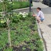 Выполненные работы