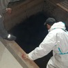 Выполненные работы